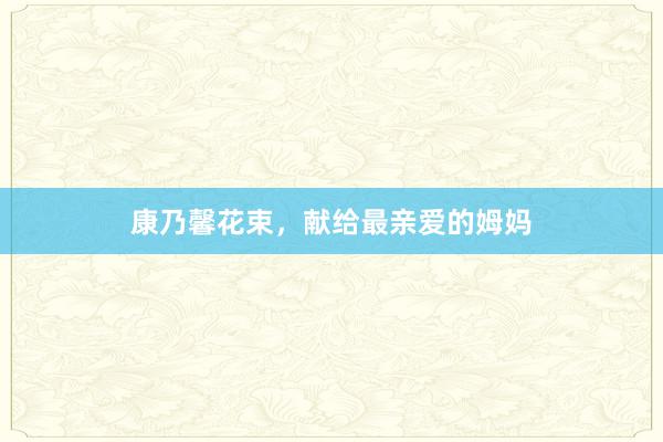 康乃馨花束，献给最亲爱的姆妈