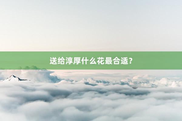 送给淳厚什么花最合适？