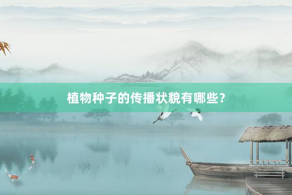 植物种子的传播状貌有哪些？