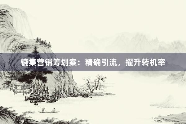 辘集营销筹划案：精确引流，擢升转机率